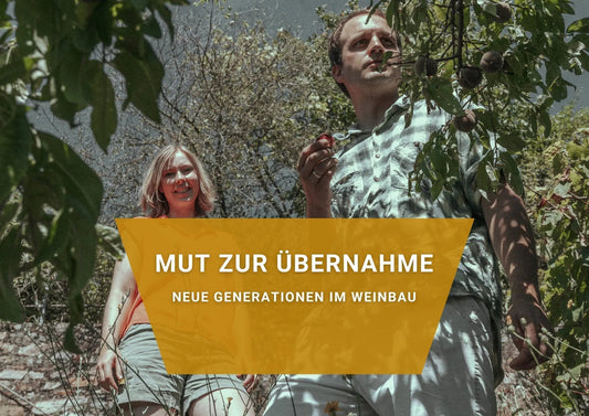 Mut zur Übernahme - Neue Generationen im Weinbau