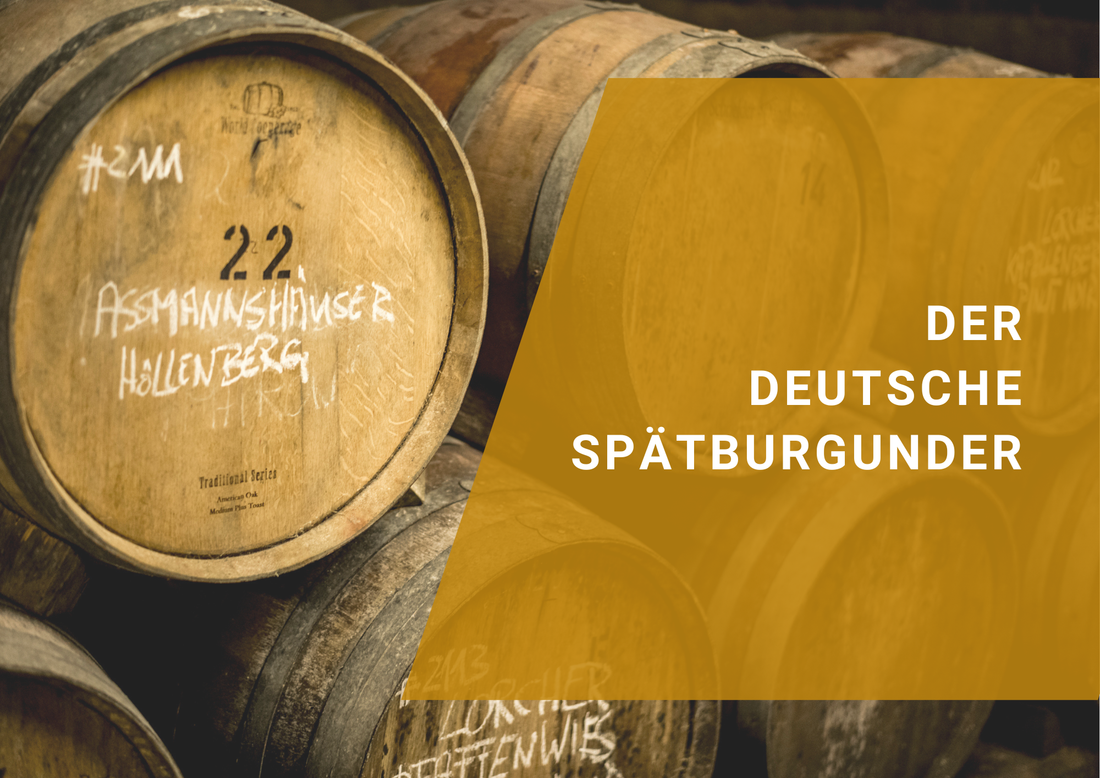 Der deutsche Spätburgunder - Florian Fine Wine Shop