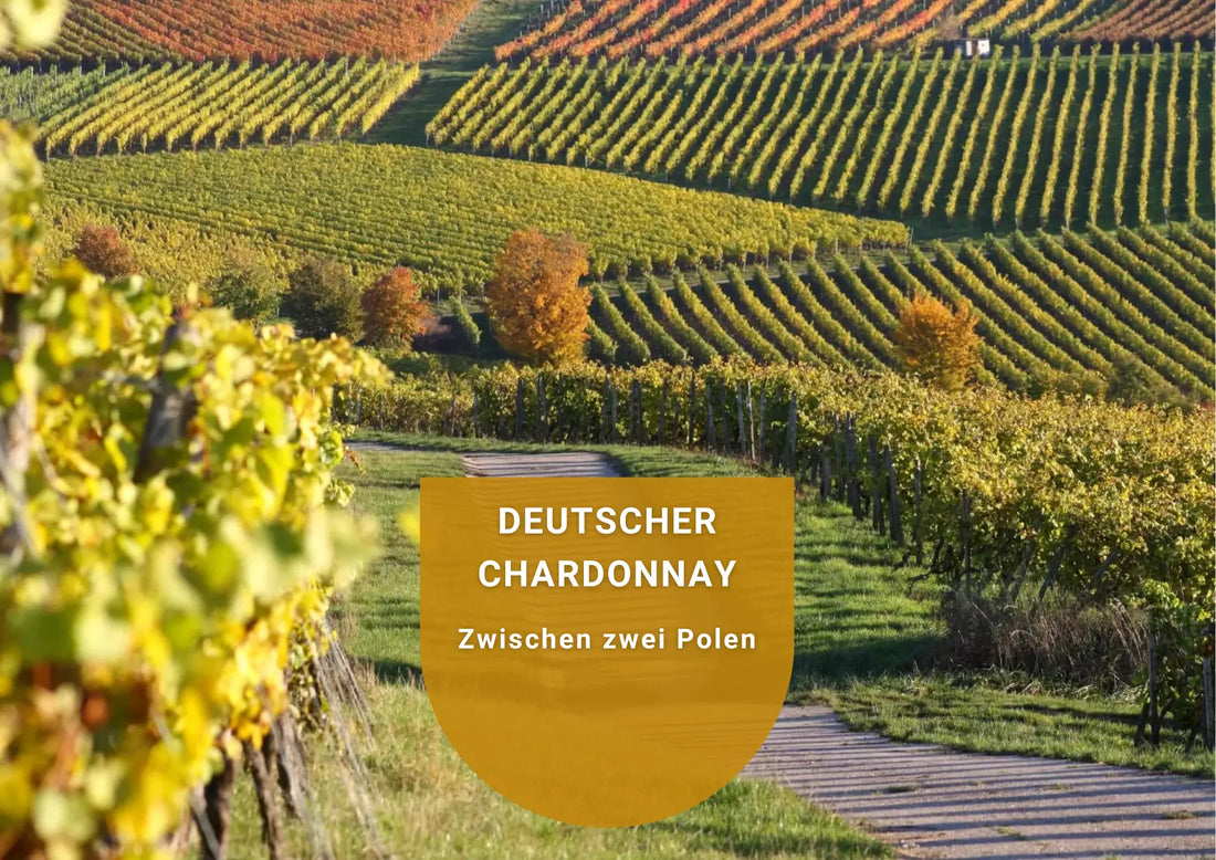 Deutscher Chardonnay - Zwischen zwei Polen