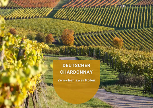Deutscher Chardonnay - Zwischen zwei Polen