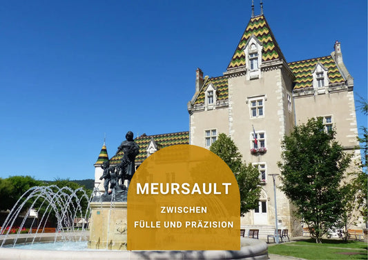 Meursault - Zwischen Fülle und Präzision