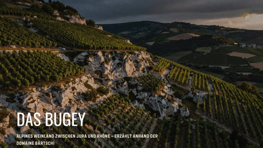 Bugey - Domaine Bärtschi