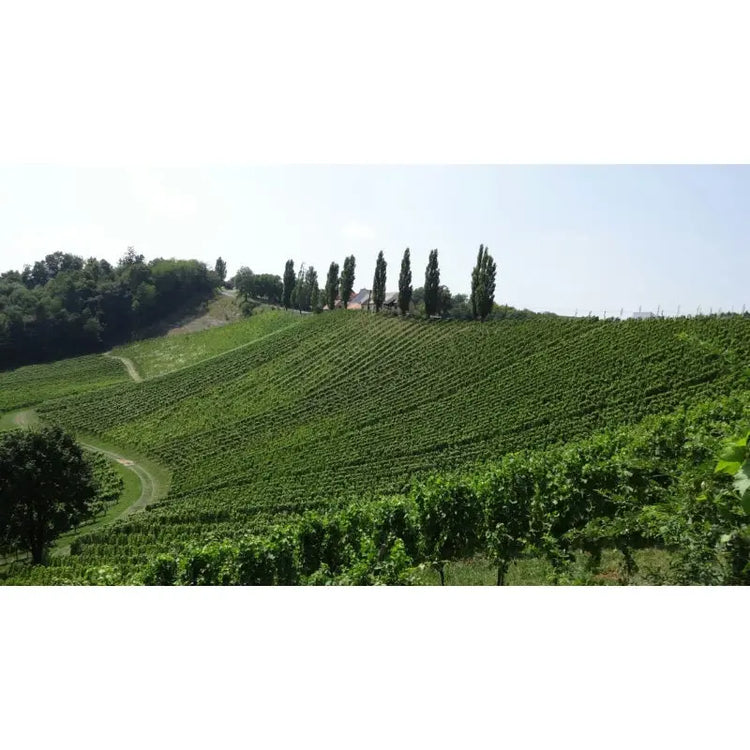 Südsteiermark