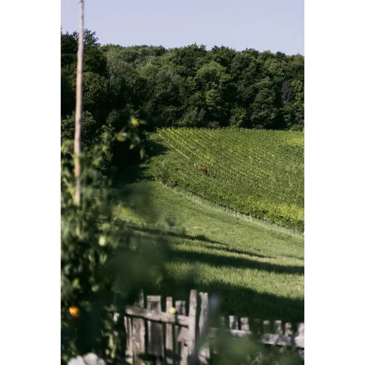 Steiermark