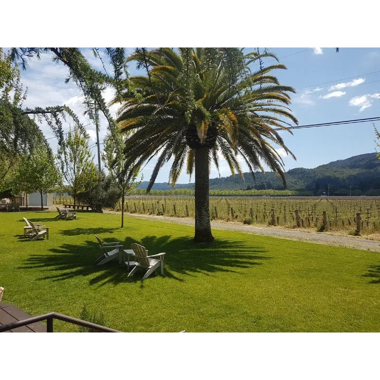 Napa Valley