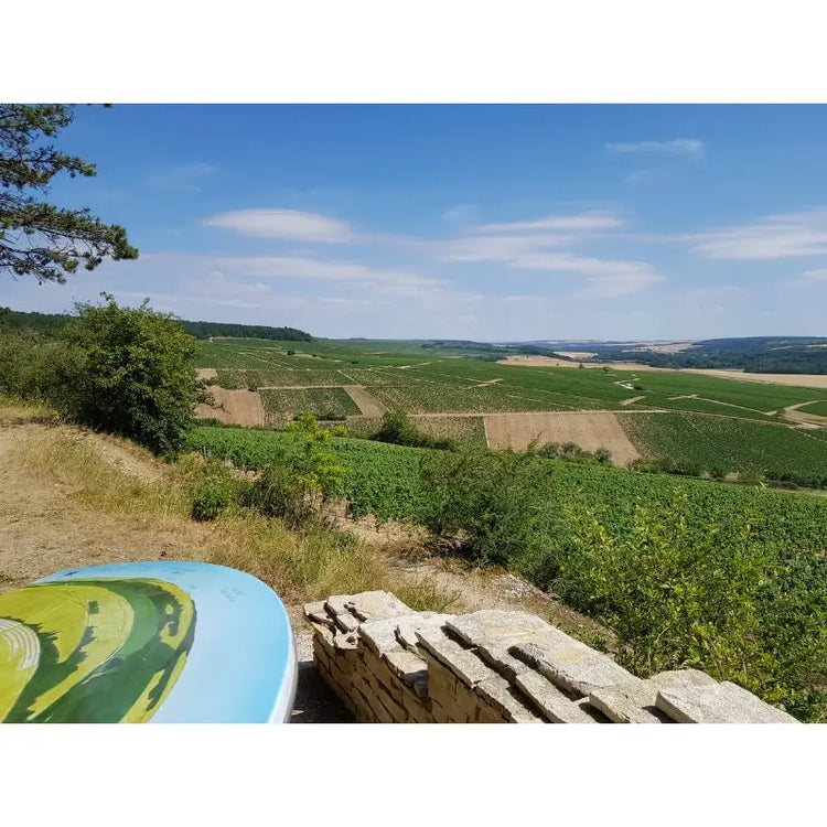 Burgund