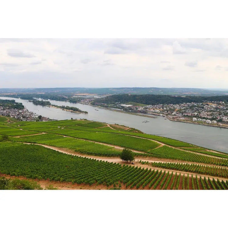 Rheingau