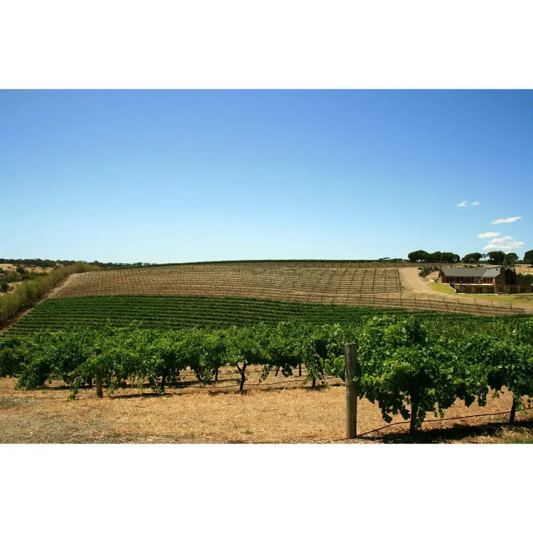 Barossa Valley