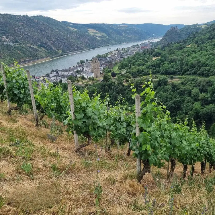 Mittelrhein