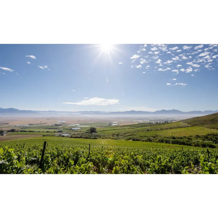 Swartland