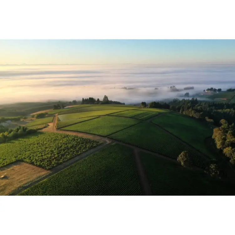 Oregon