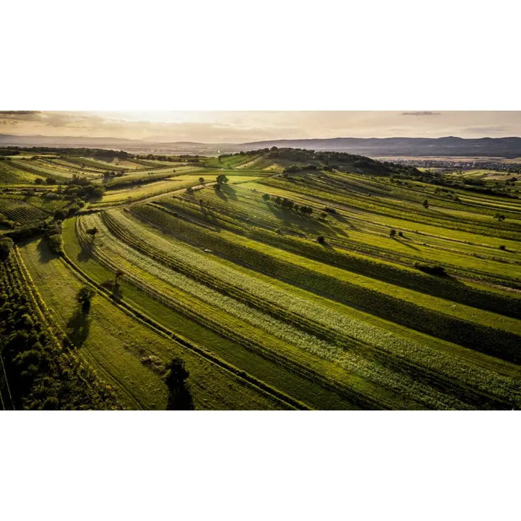 Burgenland