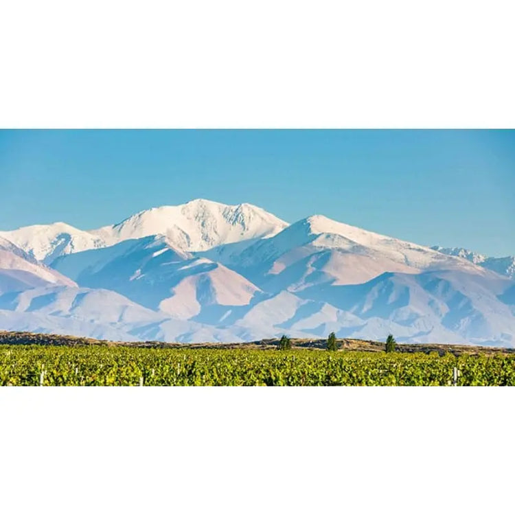 Mendoza