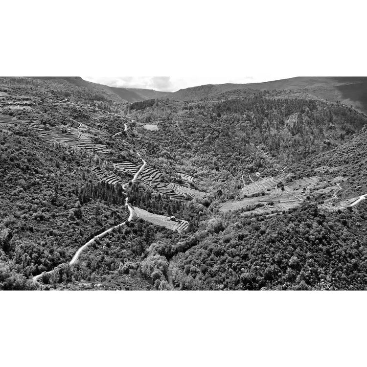 Valdeorras
