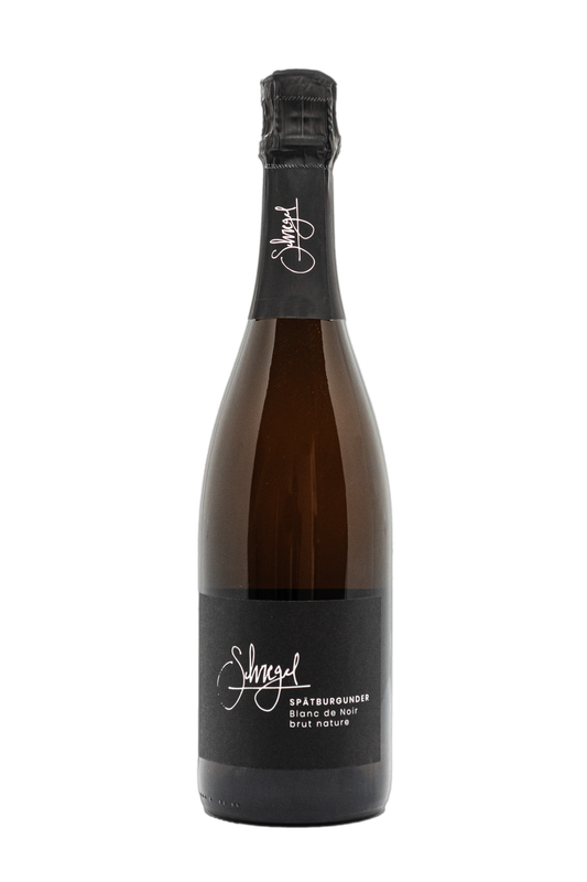 Flasche Spätburgunder Sekt Blanc de Noir brut nature von Schwegel mit schwarzem Etikett